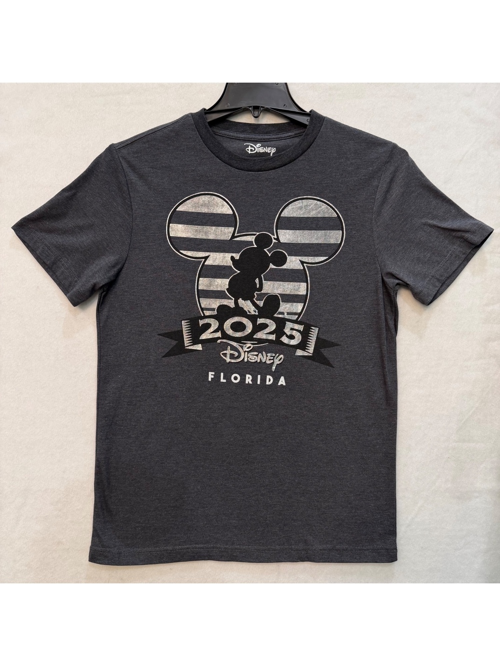 Disney 2025 T-Shirt Size Small Gray Silver 2025 Disney Florida Tee